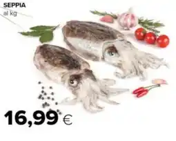 Tigre Seppia offerta