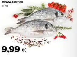 Tigre Orata 400/600 offerta