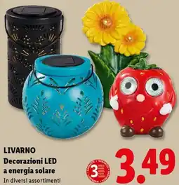 Lidl LIVARNO Decorazioni LED a energia solare offerta