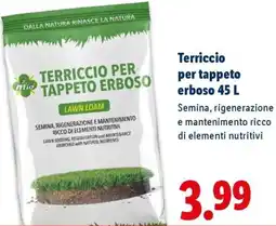 Lidl Terriccio per tappeto erboso 45 L offerta