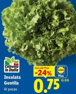 Lidl Insalata Gentile offerta