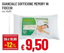 Famila Guanciale sofficione memory in fiocchi offerta