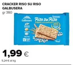 Oasi Cracker riso su riso GALBUSERA offerta
