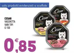 Ayoka Cesar vaschetta offerta