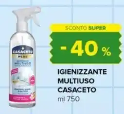Oasi Igienizzante multiuso CASACETO offerta
