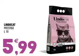 Ayoka Lindocat prestige offerta