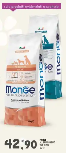 Ayoka Monge all breeds adult offerta