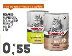 Ayoka Morand professional pate con coniglio offerta