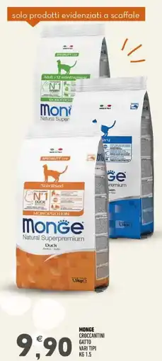 Ayoka Monge croccantini gatto offerta