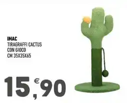 Ayoka Imac tiragraffi cactus con gioco offerta
