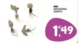 Ayoka Imac gioco naturale offerta