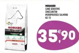 Ayoka Morando cane sensitive croccantini monoproteici salmone offerta