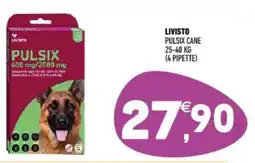 Ayoka Livisto pulsix cane offerta