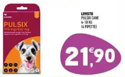 Ayoka Livisto pulsix cane offerta