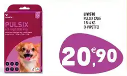 Ayoka Livisto pulsix cane offerta