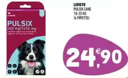 Ayoka Livisto pulsix cane offerta