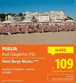 Lidl Hotel Borgo Marina offerta