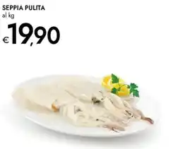 Bennet Seppia pulita offerta