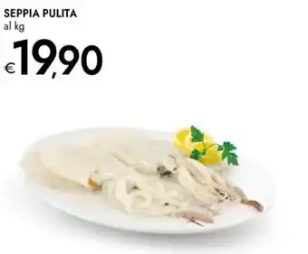 Bennet Seppia pulita offerta
