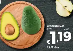 Bennet Avocado hass offerta