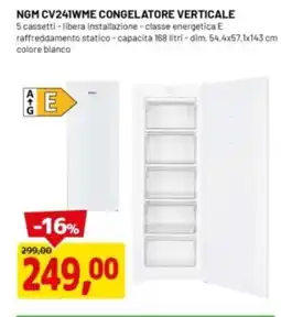 DPiù NGM CV241WME CONGELATORE VERTICALE offerta