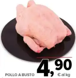 Todis Pollo a busto offerta