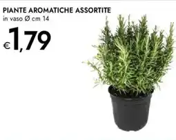 Bennet Piante aromatiche offerta