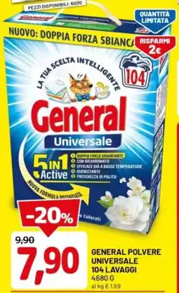 DPiù General polvere universale offerta