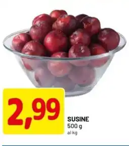 DPiù Susine offerta