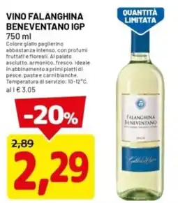 DPiù Vino falanghina beneventano IGP offerta