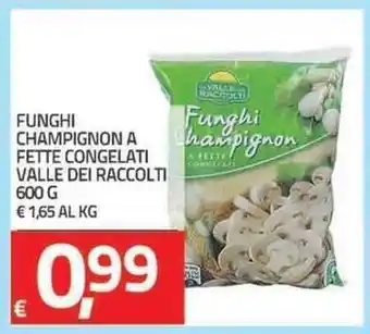 TuoDi Valle Dei Raccolti Funghi Champignon a Fette Congelati 600g offerta