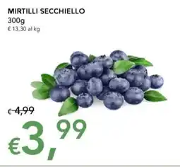 Migross Supermercati e Market Mirtilli secchiello offerta