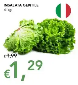 Migross Supermercati e Market Insalata gentile offerta