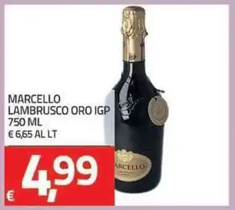 TuoDi Marcello Lambrusco Oro IGP 750ml offerta