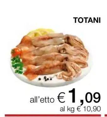 Coop TOTANI offerta