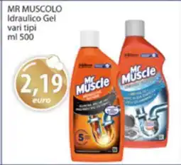 Acqua & Sapone Mr. Muscolo Idraulico Gel offerta