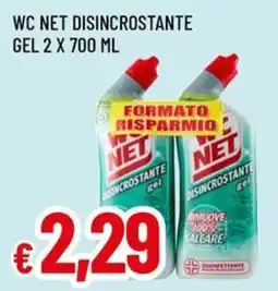A&O Wc net disincrostante gel offerta