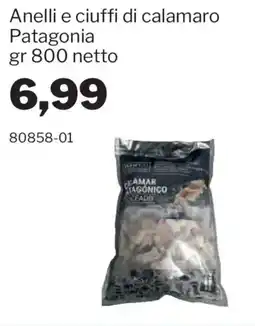 GrosMarket Anelli e ciuffi di calamaro Patagonia offerta
