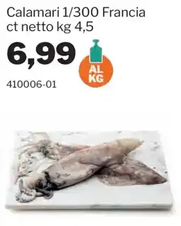 GrosMarket Calamari 1/300 Francia ct netto offerta