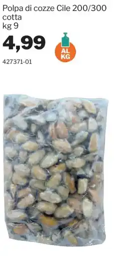 GrosMarket Polpa di cozze Cile 200/300 offerta