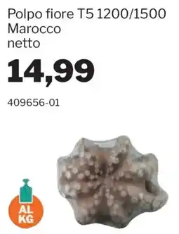 GrosMarket Polpo fiore T5 1200/1500 Marocco offerta