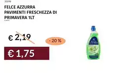 Prezzemolo e Vitale Felce azzurra pavimenti freschezza di primavera offerta