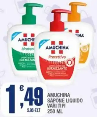 Amuchina sapone liquido