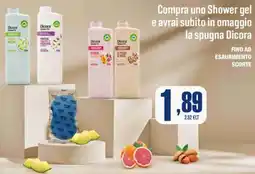 Splendidi e Splendenti Compra uno Shower gel e avrai subito in omaggio la spugna Dicora offerta