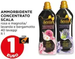 Alì Supermercati Ammorbidente concentrato SCALA offerta