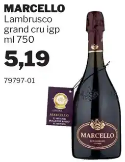 GrosMarket MARCELLO Lambrusco grand cru igp offerta