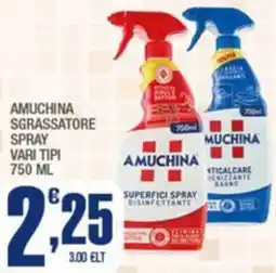 Splendidi e Splendenti Amuchina sgrassatore spray offerta