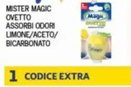 Splendidi e Splendenti Mister magic ovetto assorbi odori limone/aceto/ bicarbonato offerta