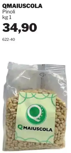 GrosMarket QMAIUSCOLA Pinoli offerta