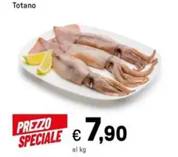 Iper La Grande Totano offerta